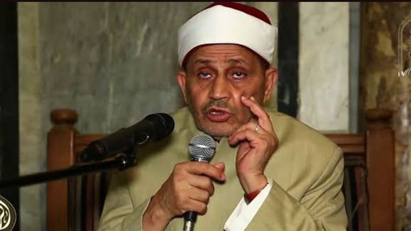 الدكتور محمد ربيع