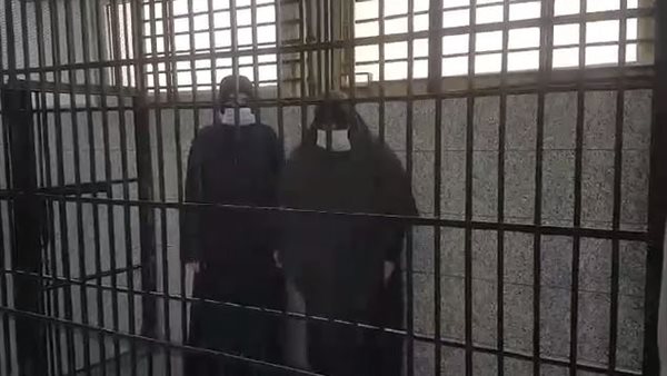 المتهمين داخل قفص