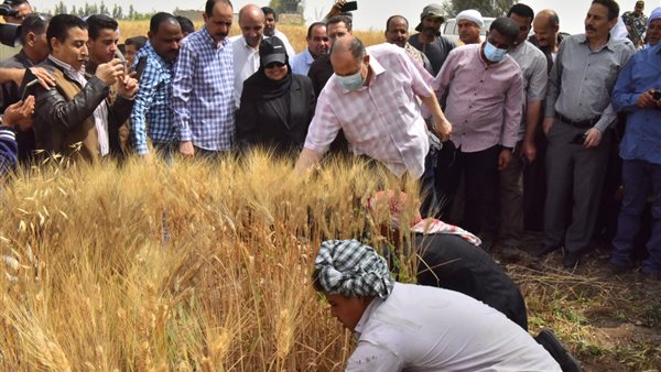 محافظ أسيوط يشهد