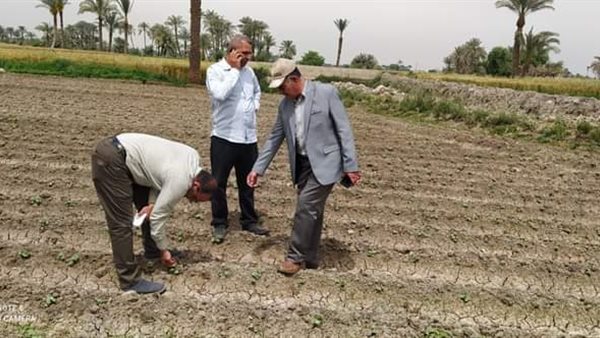 جولة وكيل وزارة الزراعة