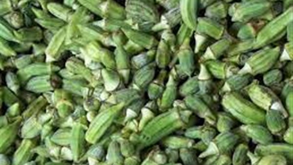 أسرار ارتفاع أسعار