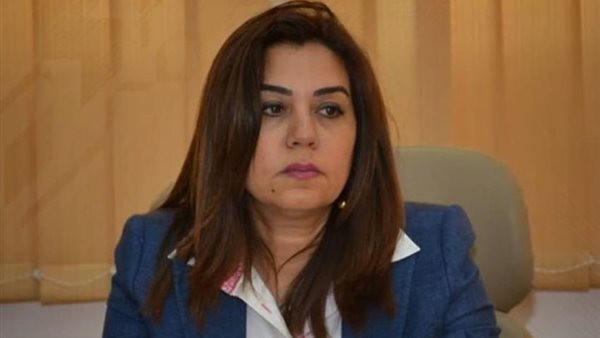 محافظ دمياط 