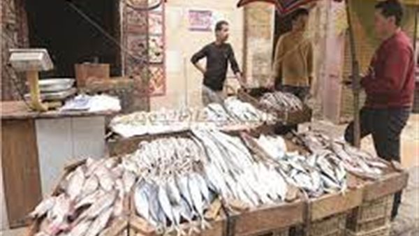 أسواق السمك فى القليوبية