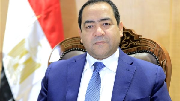 التنظيم والإدارة