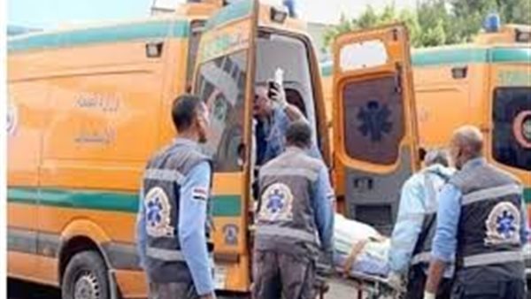 مشاجرة سيدات فى الغربية