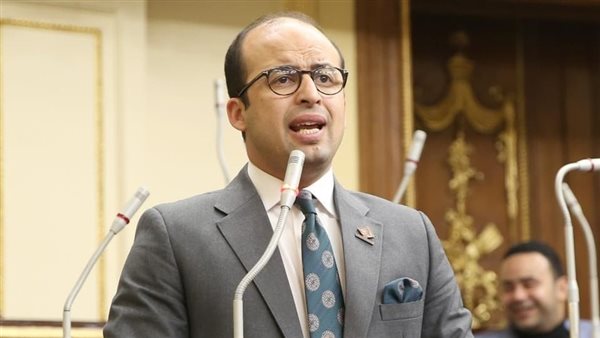 النائب الدكتور خالد