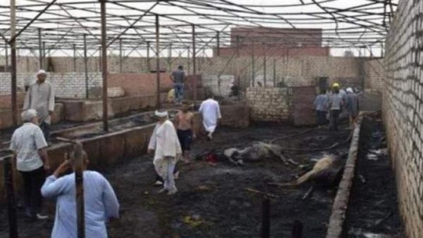 حريق هائل فى حظيرة