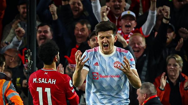 هاري ماجوير 