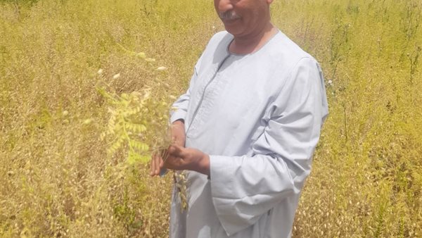 نقيب الفلاحين