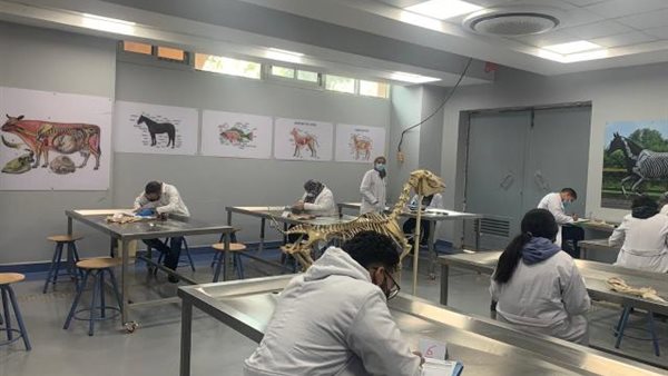 طلاب جامعة بدر 