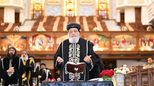 قداسة البابا