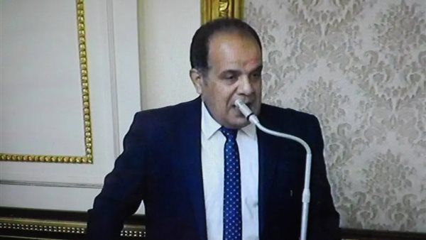 النائب احمد مهنى