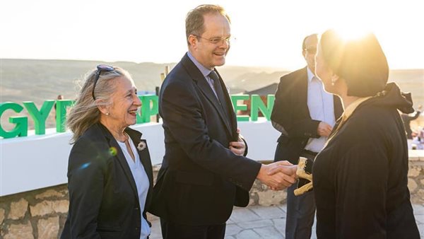 ياسمين فؤاد وزيرة