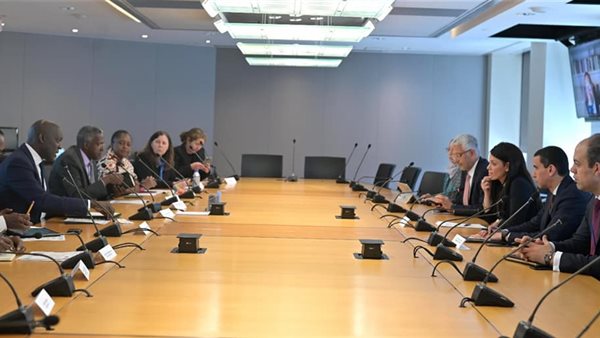 الدكتورة رانيا المشاط