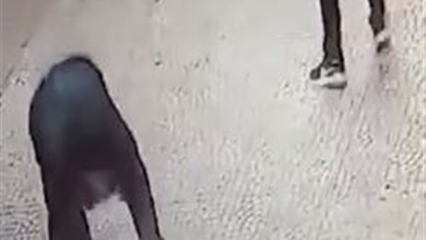 صورة من الحدث