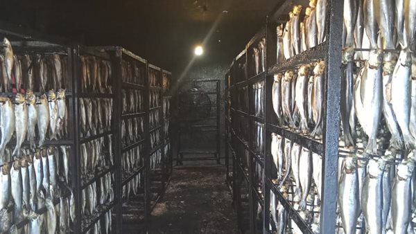 جانب من المضبوطات