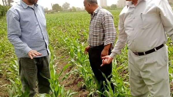 جولة وكيل زراعة الفيوم