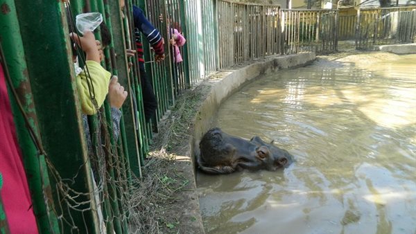 أعياد الربيع فى الفيوم