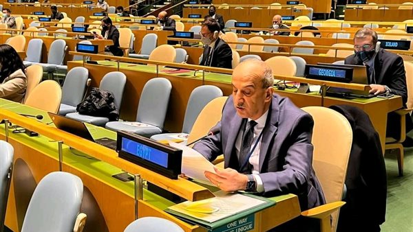 مندوب مصر الدائم