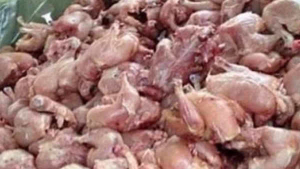 دواجن فاسدة