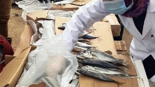 جانب من الحملات