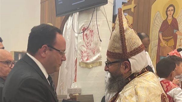 السفير محمود زايد