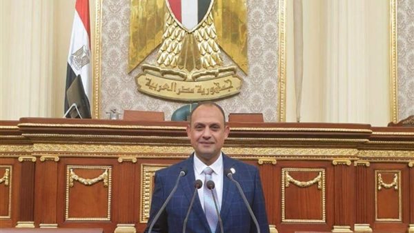 النائب هشام الجاهل