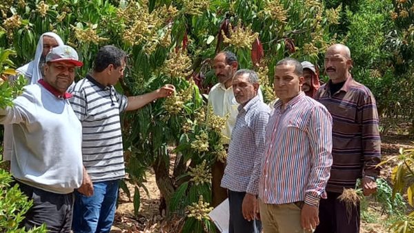 وزارة الزراعة