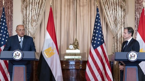 سامح شكري وأنتوني