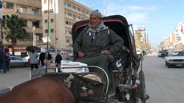 عربات الحنطور فى