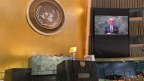 السفير أسامة عبد