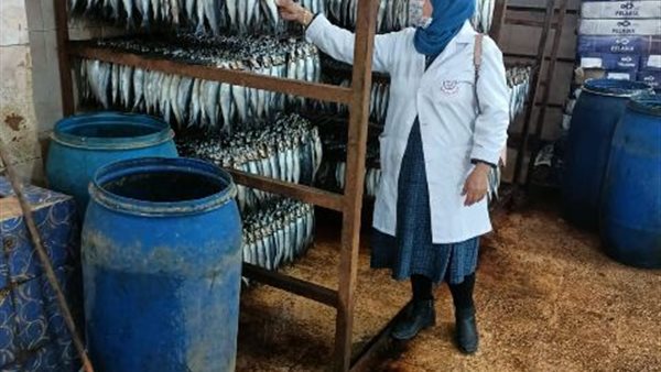 جانب من الحملات