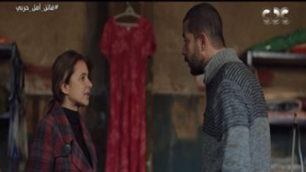 مسلسل فاتن أمل حربي