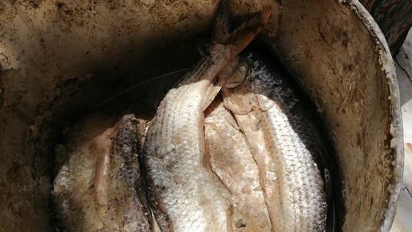 جانب من المضبوطات