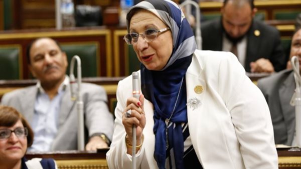 النائبة ايناس عبد