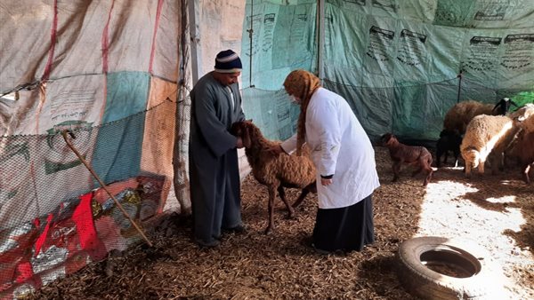 حملات تحصين الماشية