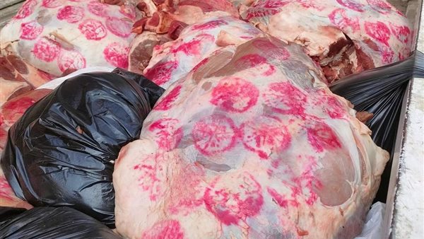 جانب من المضبوطات