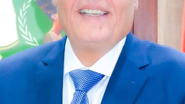 محافظ المنيا