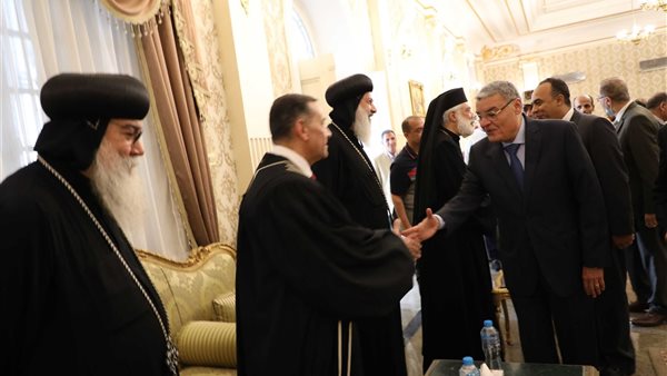 محافظ المنيا يستقبل