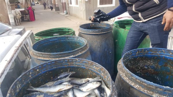 جانب من المضبوطات