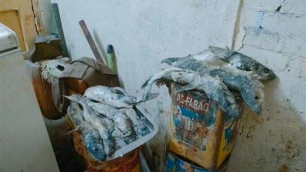 جانب من المضبوطات