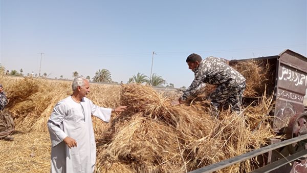 نقيب الفلاحين 