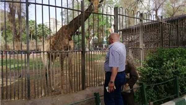 حديقة الحيوان 