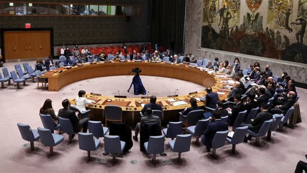 مجلس الأمن الدولي