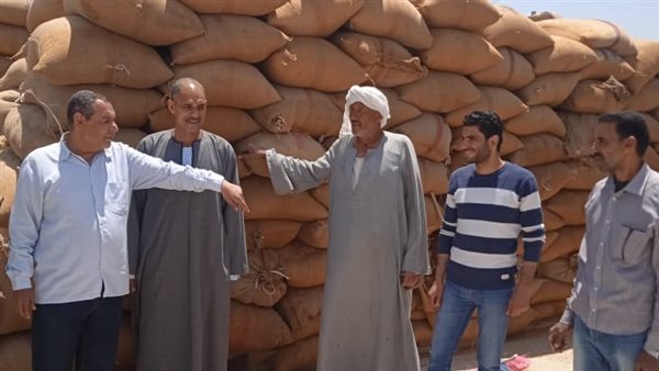 توريد القمح