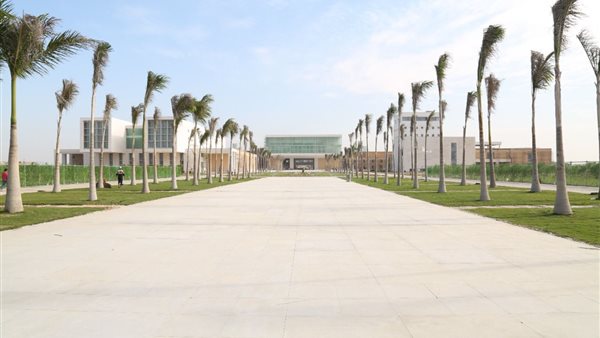 الجامعة اليابانية