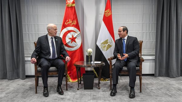 السيسي والرئيس التونسي