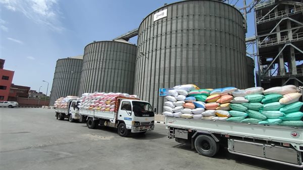 توريد القمح المحلي