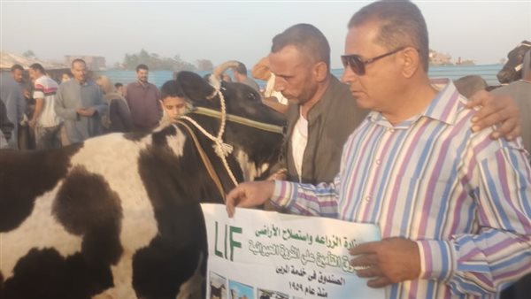 جانب من الحملة 