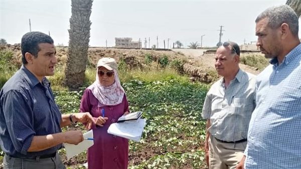 جانب من الحدث